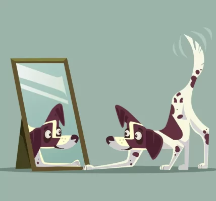 狗狗能認出鏡中的自己嗎？科學測試揭示牠們的爆笑反應