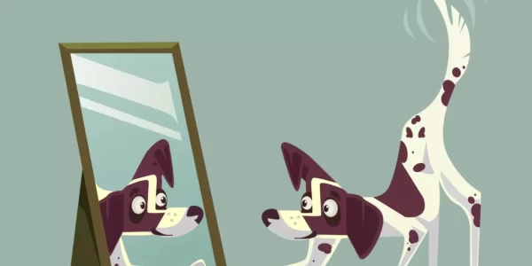 狗狗能認出鏡中的自己嗎？科學測試揭示牠們的爆笑反應