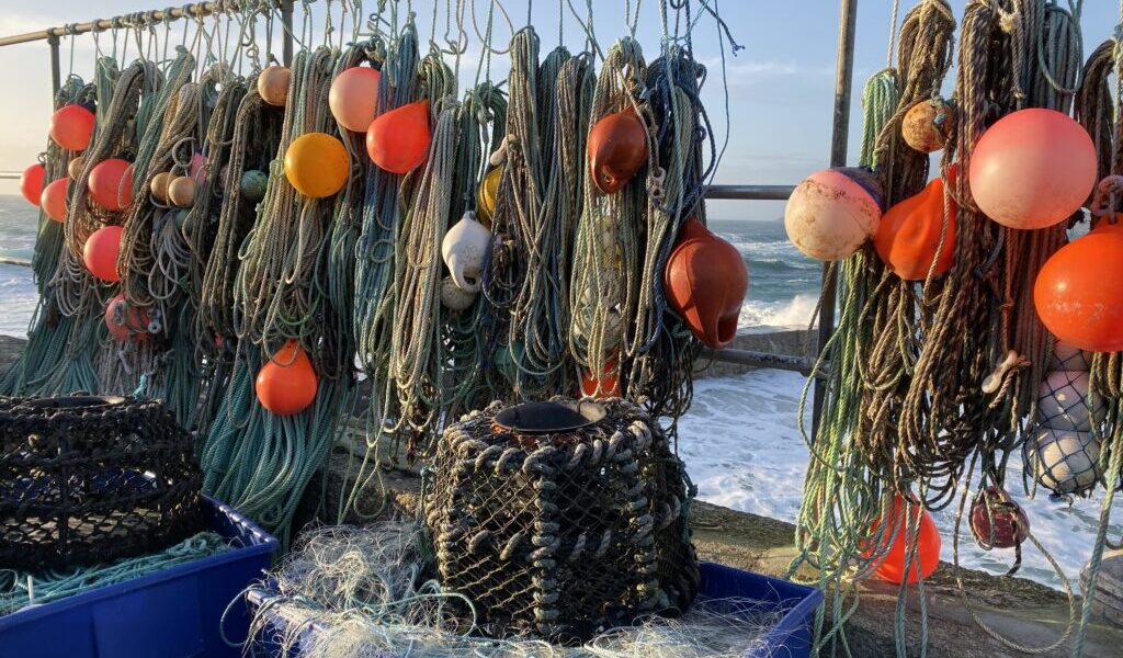 籲漁民遵守禁漁規範　南市加強查緝保護海洋資源