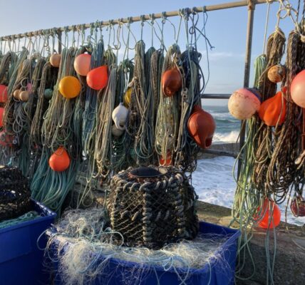 籲漁民遵守禁漁規範　南市加強查緝保護海洋資源