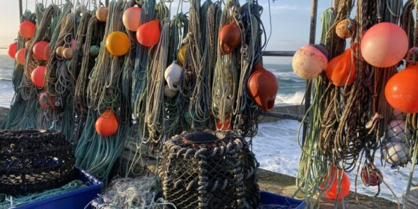 籲漁民遵守禁漁規範　南市加強查緝保護海洋資源