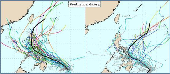 174596574425631 p31951019