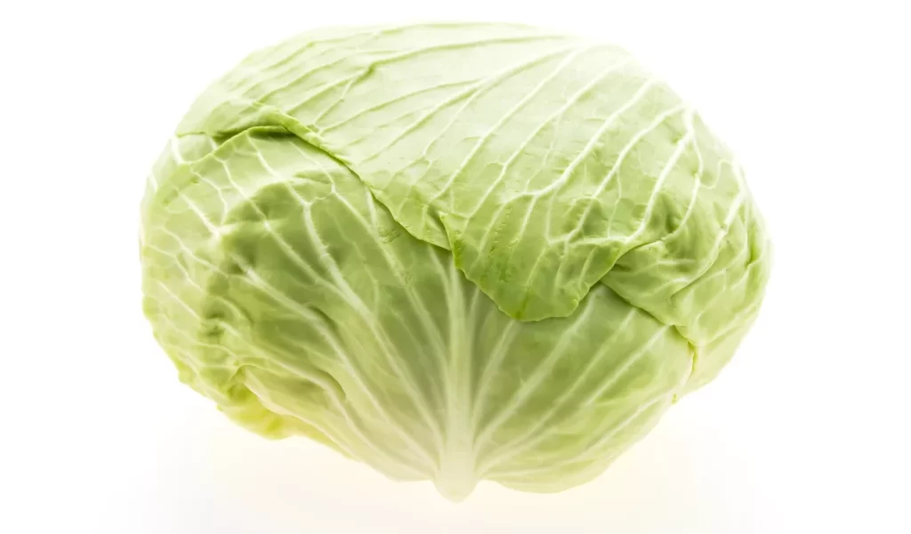 獨居族苦惱一顆高麗菜怎麼吃完？網友熱情分享「高麗菜全攻略」