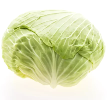 獨居族苦惱一顆高麗菜怎麼吃完？網友熱情分享「高麗菜全攻略」