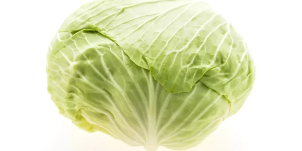 獨居族苦惱一顆高麗菜怎麼吃完？網友熱情分享「高麗菜全攻略」