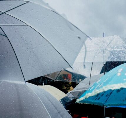全台今飆35°C高溫！吳德榮：梅雨鋒面下週二報到 恐帶局部雷雨