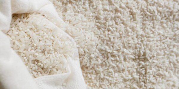 日本米價暴漲92%！韓國與台灣米搶進補缺口 一到貨秒殺完售