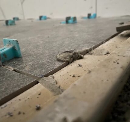 鈞詣地磚工程爭議圓滿和解 阮伯全聲明：願承擔責任，盼重建業界信任