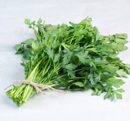 豪雨重創菜園　香菜拍賣價飆破千元　攤販、火鍋店紛紛喊苦