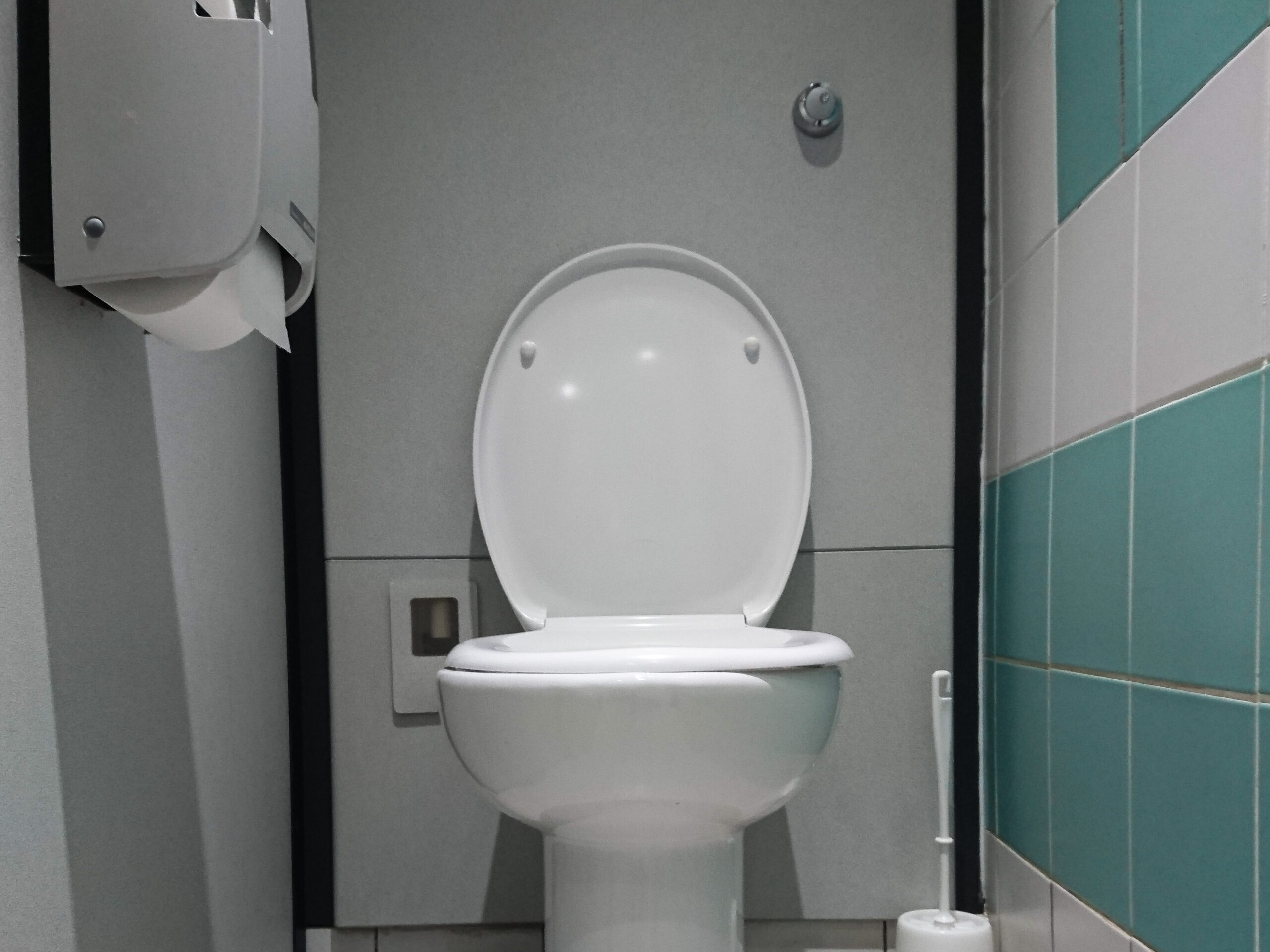 Toilet bowl bathroom