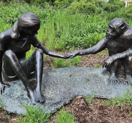 改變人類理解動物行為的她──珍古德與世長辭，享壽91歲