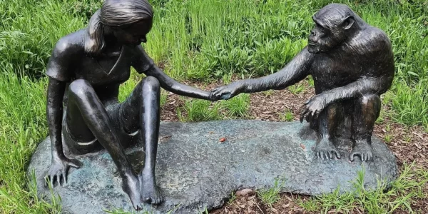 改變人類理解動物行為的她──珍古德與世長辭，享壽91歲