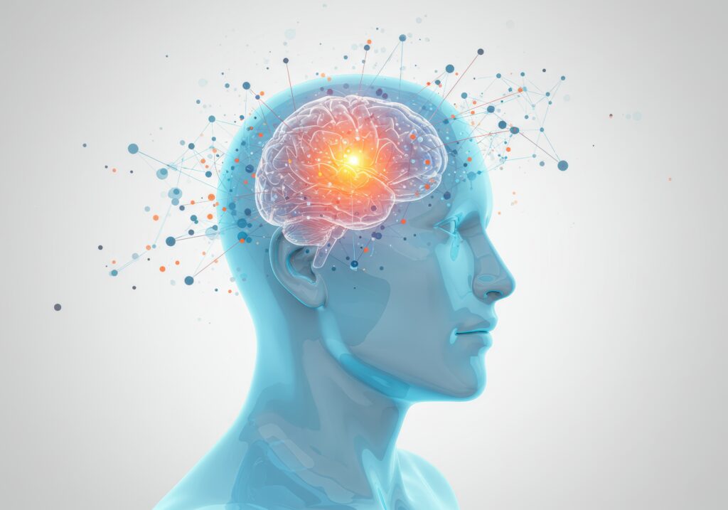 Brain network in human head