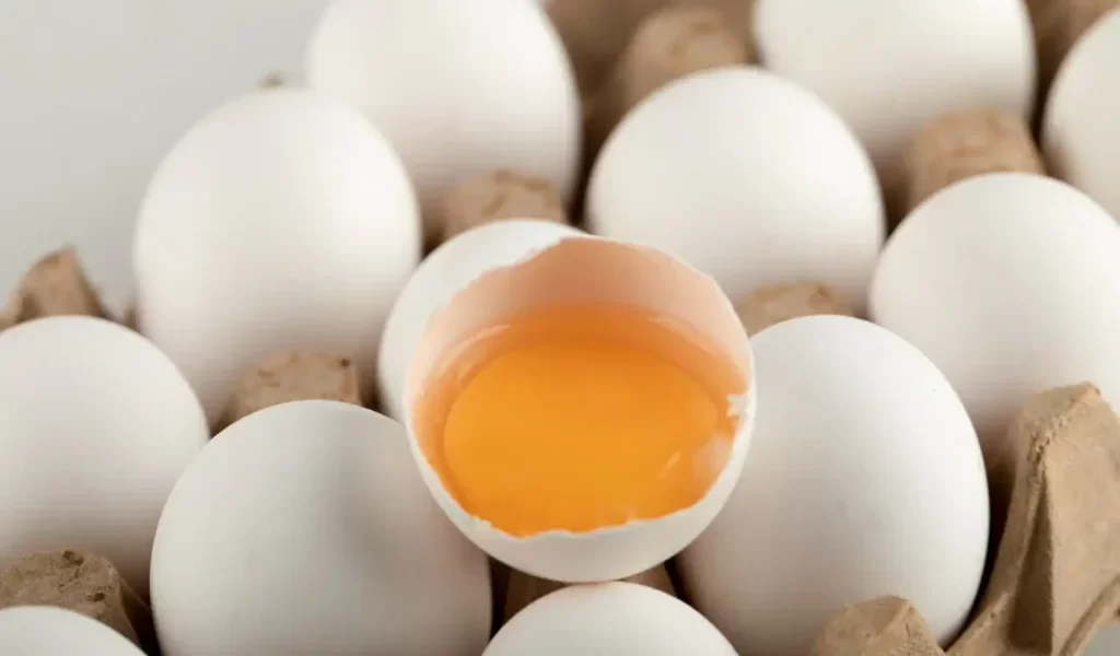 芬普尼雞蛋事件延燒！一文看懂雞蛋編碼與飼養方式差異