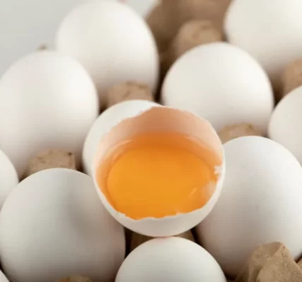 芬普尼雞蛋事件延燒！一文看懂雞蛋編碼與飼養方式差異