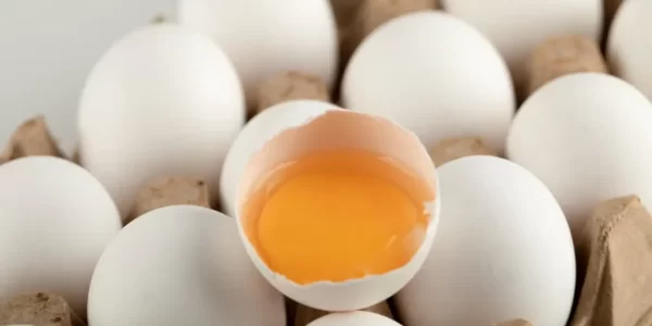 芬普尼雞蛋事件延燒！一文看懂雞蛋編碼與飼養方式差異