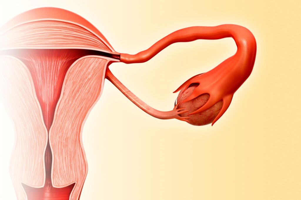 Vagina penis mother s pregnancy showing results as 3 pictures illustrations