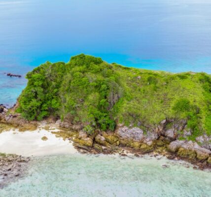 美日聯手開採南鳥島稀土　強化供應鏈抗中壟斷