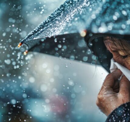 寒冬封鎖下的人道危機　加薩嬰兒失溫喪命引國際關注