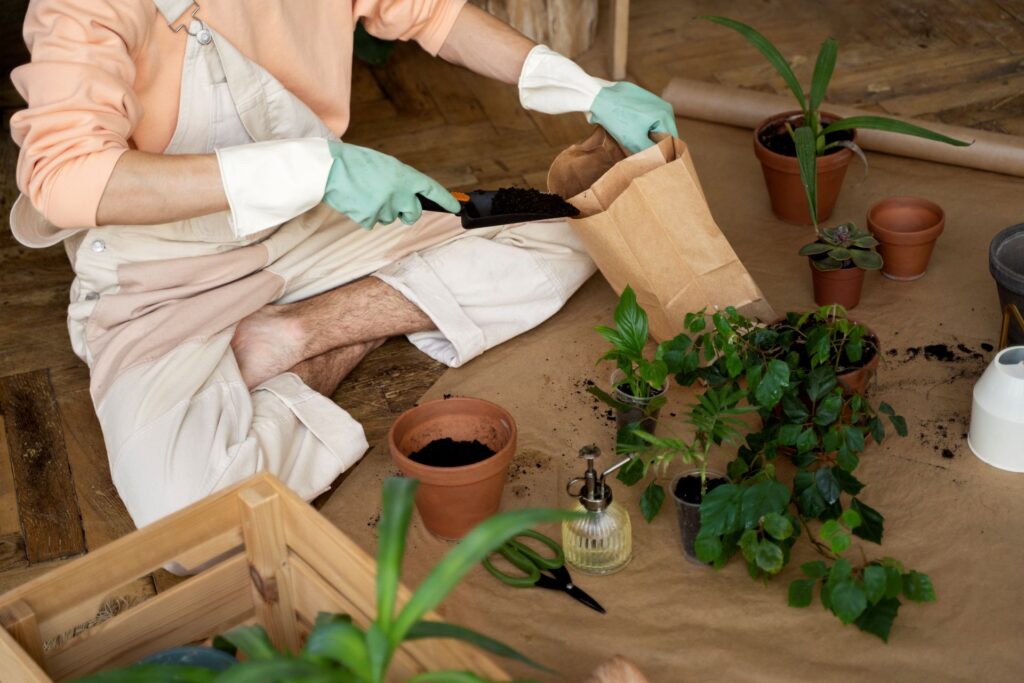 Person transplanting plants new pots